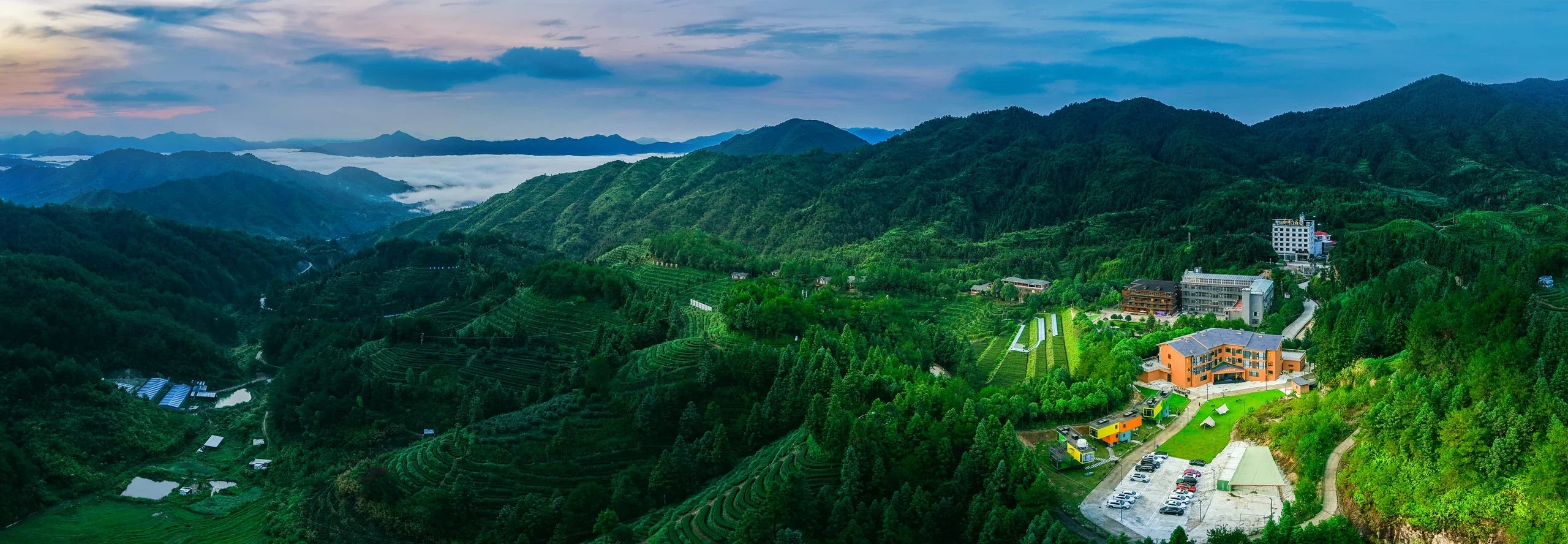 云海中的安溪铁观音茶庄园全景