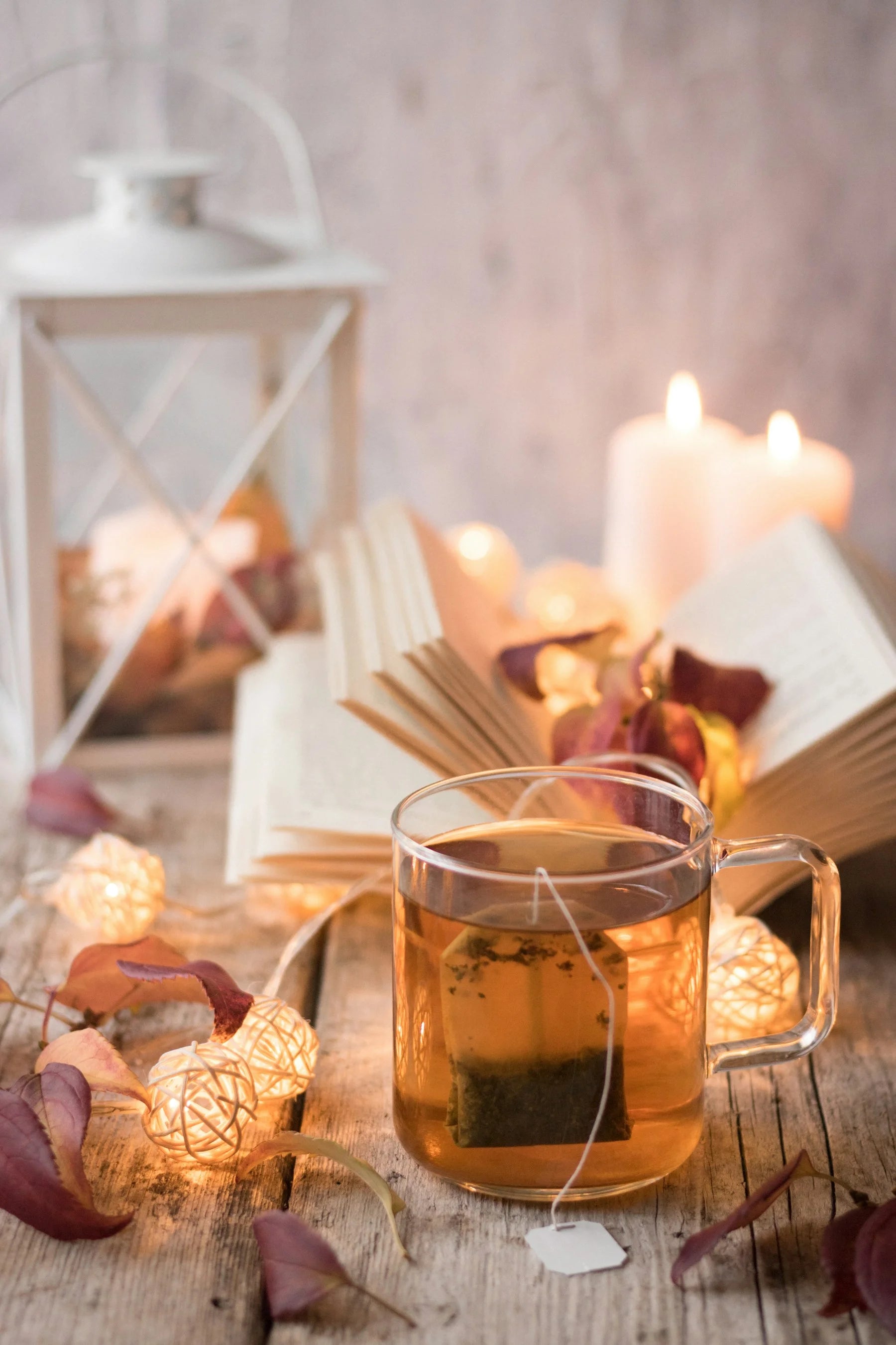 Huaxiangyuan-  YingBin Manor Tea Jasmine Tea 品鉴